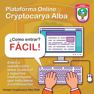 Read more about the article Plataforma Educativa Online Cryptocarya Alba 2020