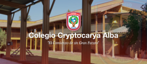 Read more about the article Vuelta a Clases Seguro 2021 CCA