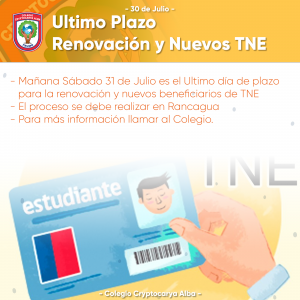 Read more about the article Último plazo TNE