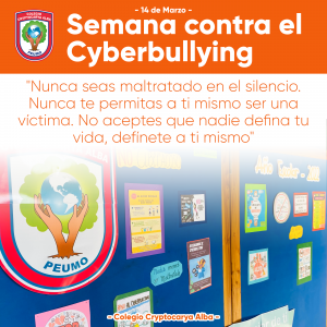 Read more about the article Semana contra el cyberbullying