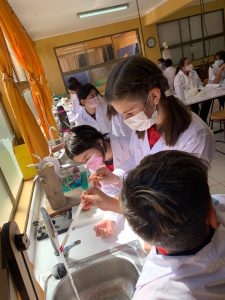 Read more about the article Clases en el Laboratorio de Ciencias