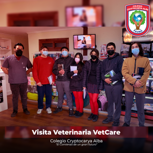 Read more about the article Visita de Diferenciado a Veterinaria VetCare