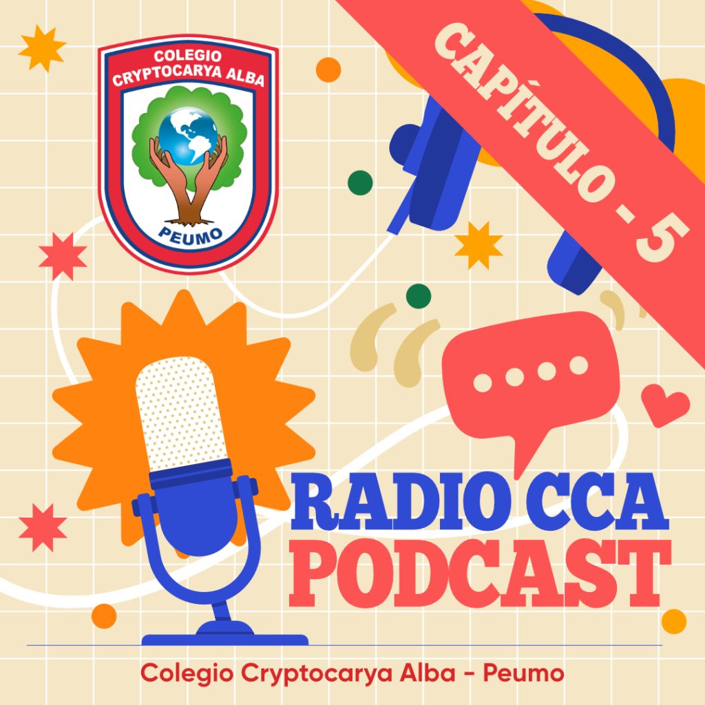 Podcast 5 Radio CCA